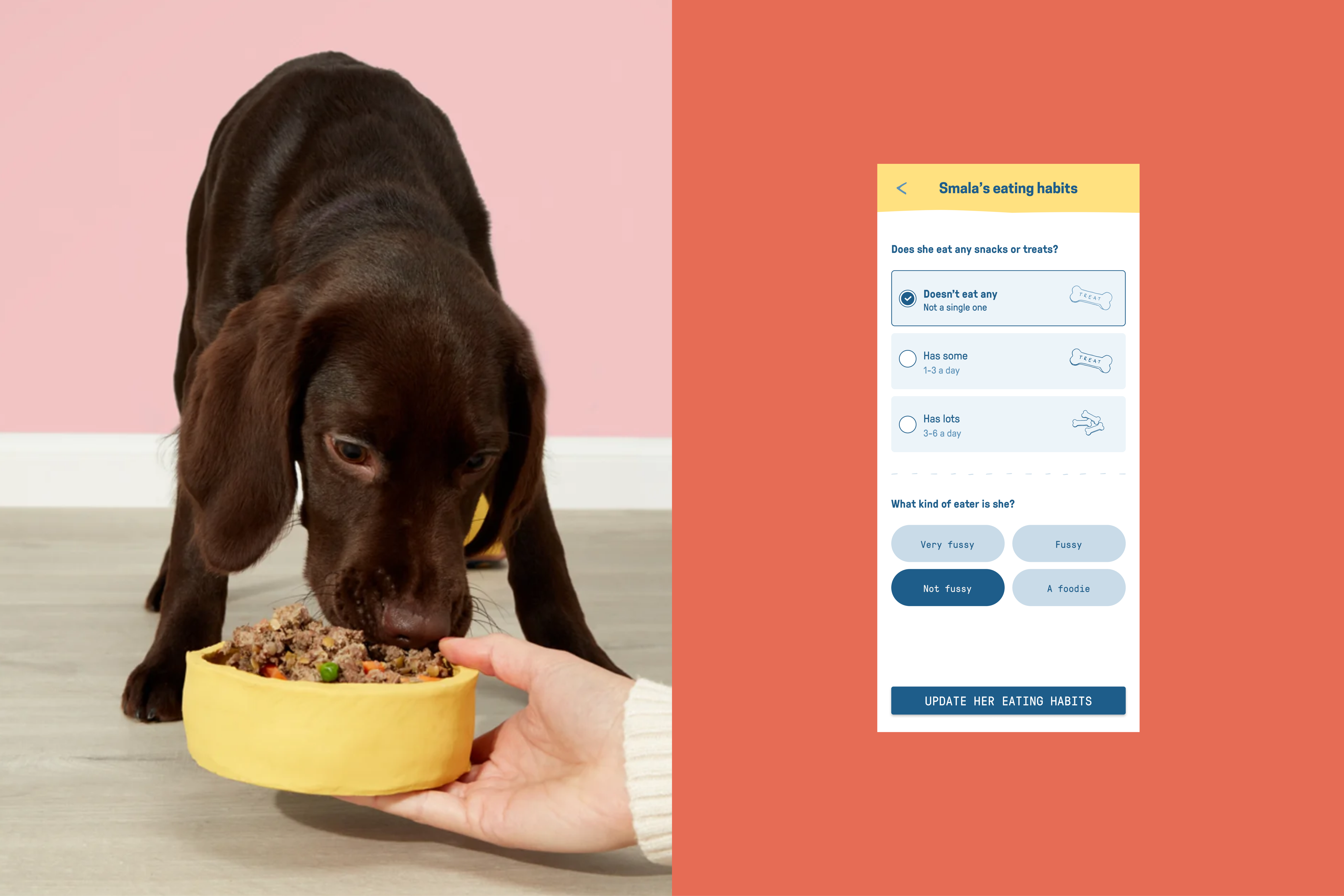 Image_x_Mobile_j4kdgo