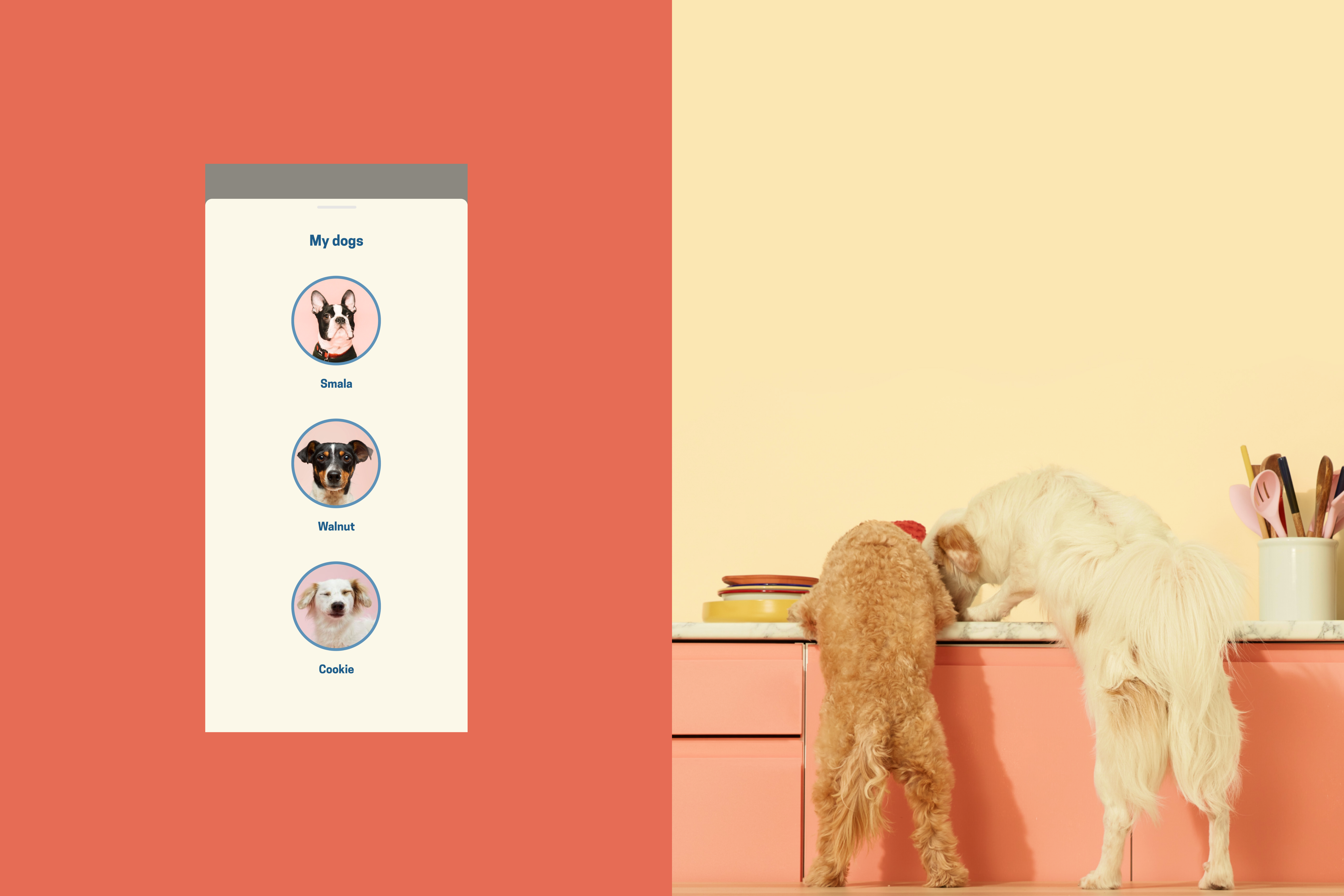 Mobile_x_Image-2_jevlxb