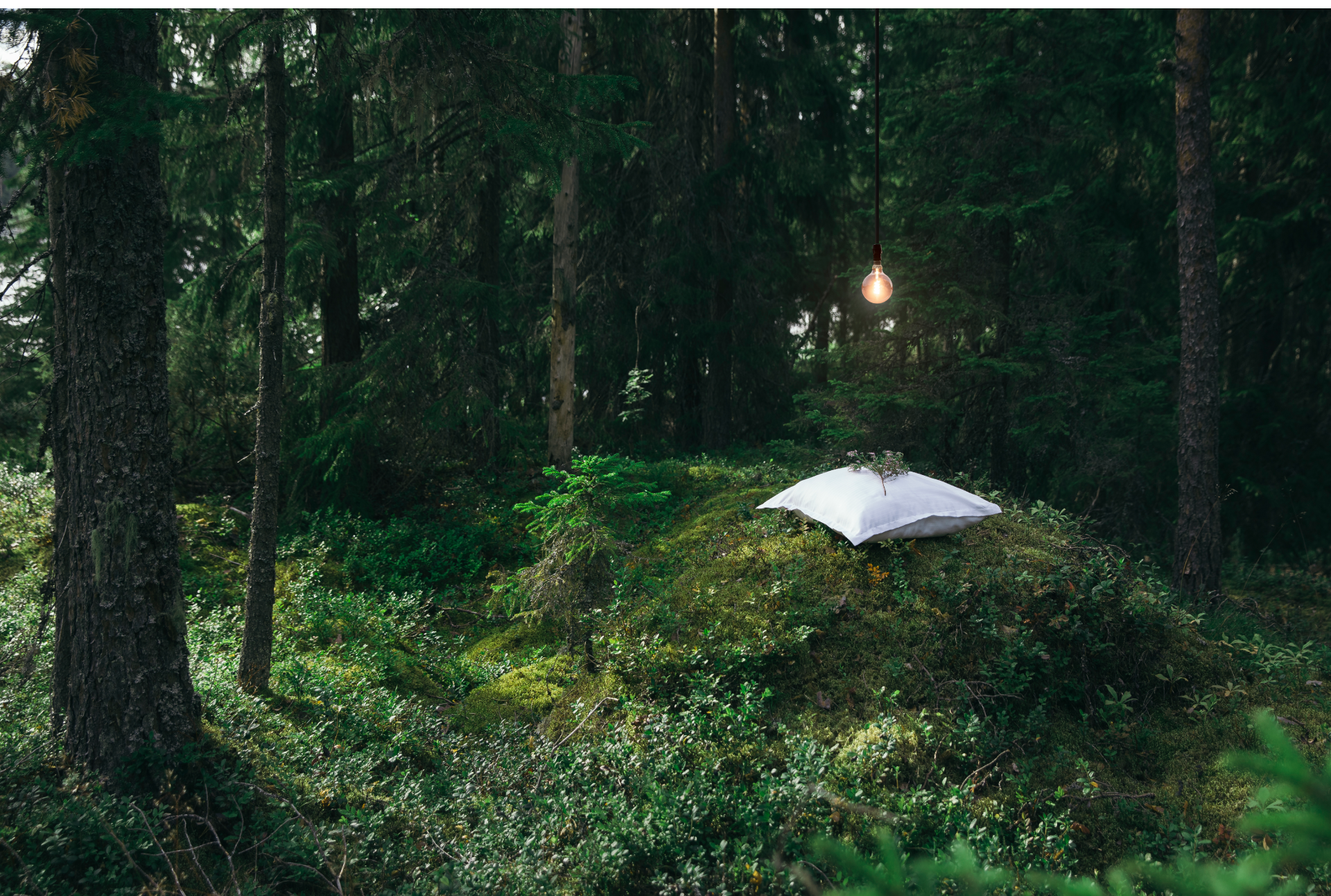 reaktor_website_case_valo_hero_1x